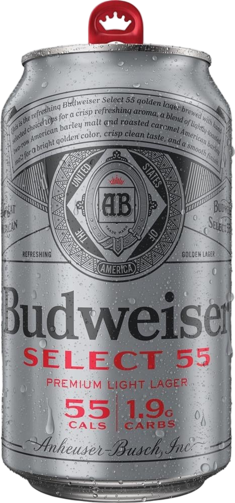 0.355 can